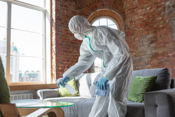 Best Mold Remediation for Vacation Homes  in North Amityville, NY