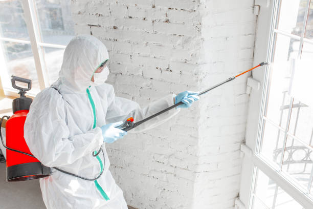 Best Forensic Mold Investigation  in North Amityville, NY