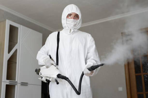 Best Mold Odor Removal Services  in North Amityville, NY